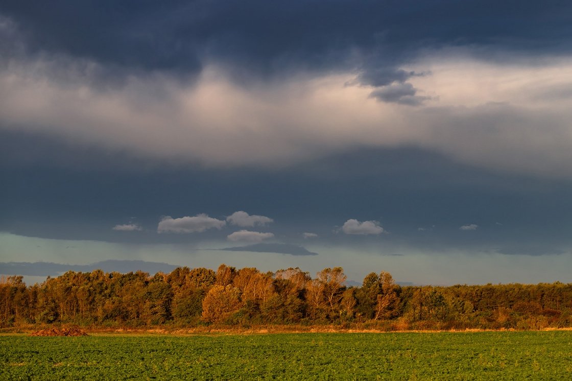 FELHŐK