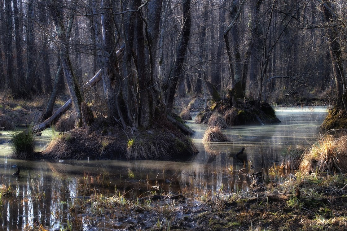 ERDŐ