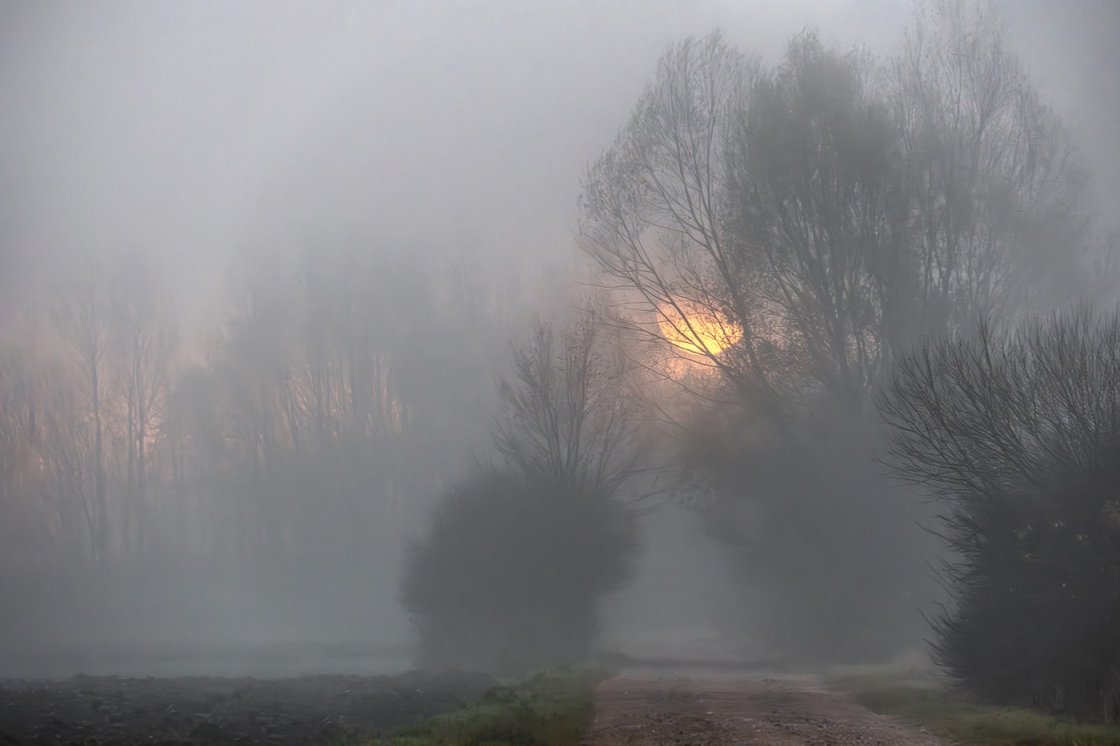 NAPKELTE