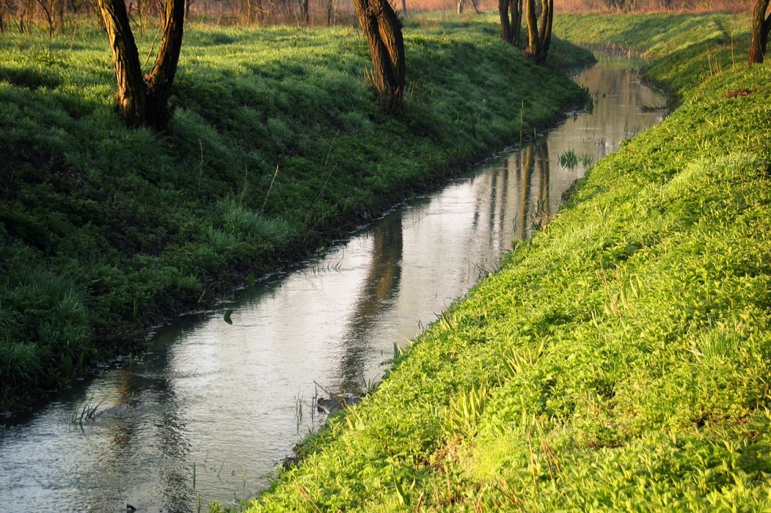 TÁJAK