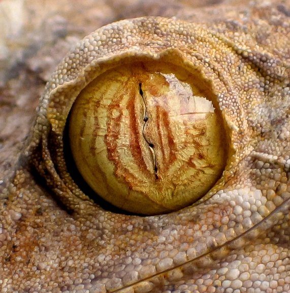 MADAGASZKÁR