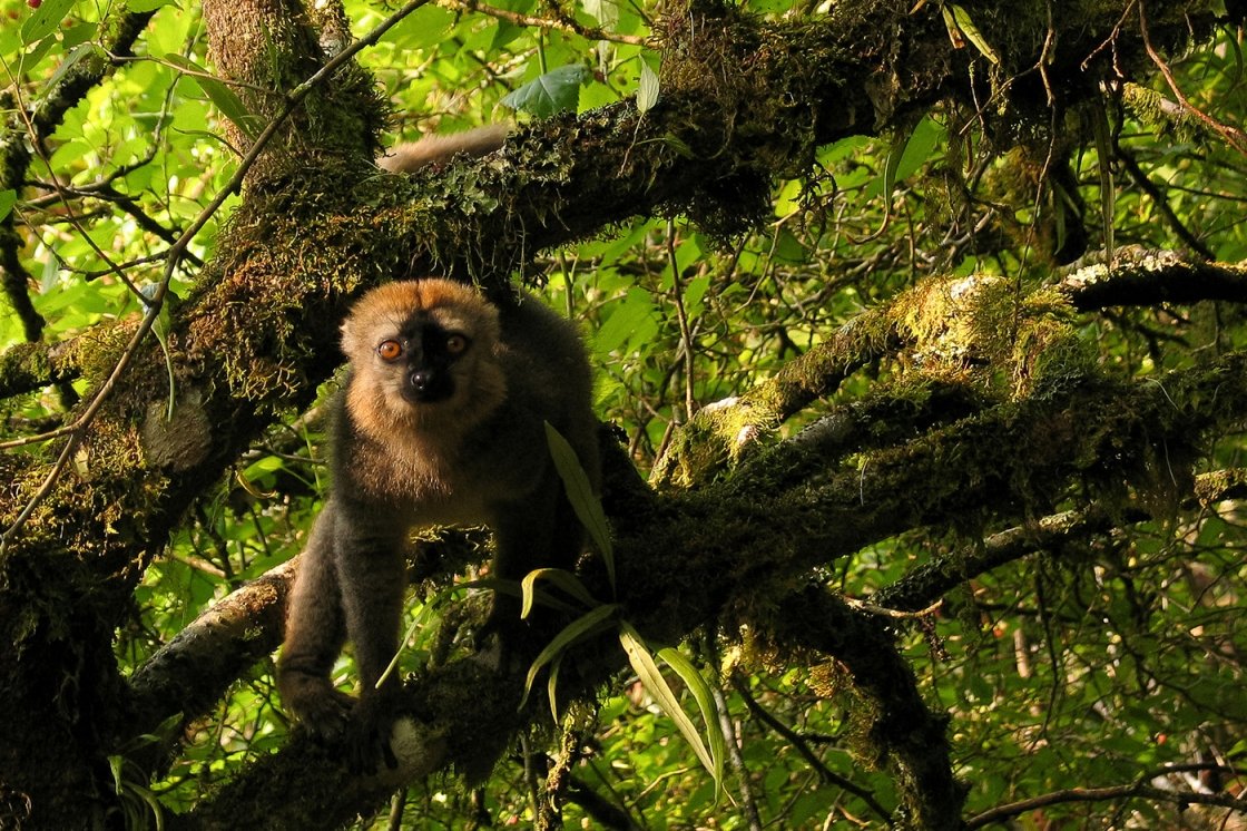 MADAGASZKÁR