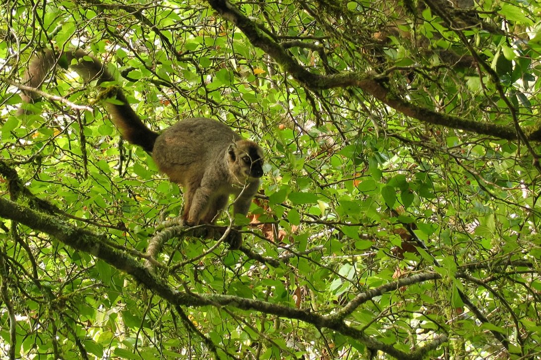 MADAGASZKÁR