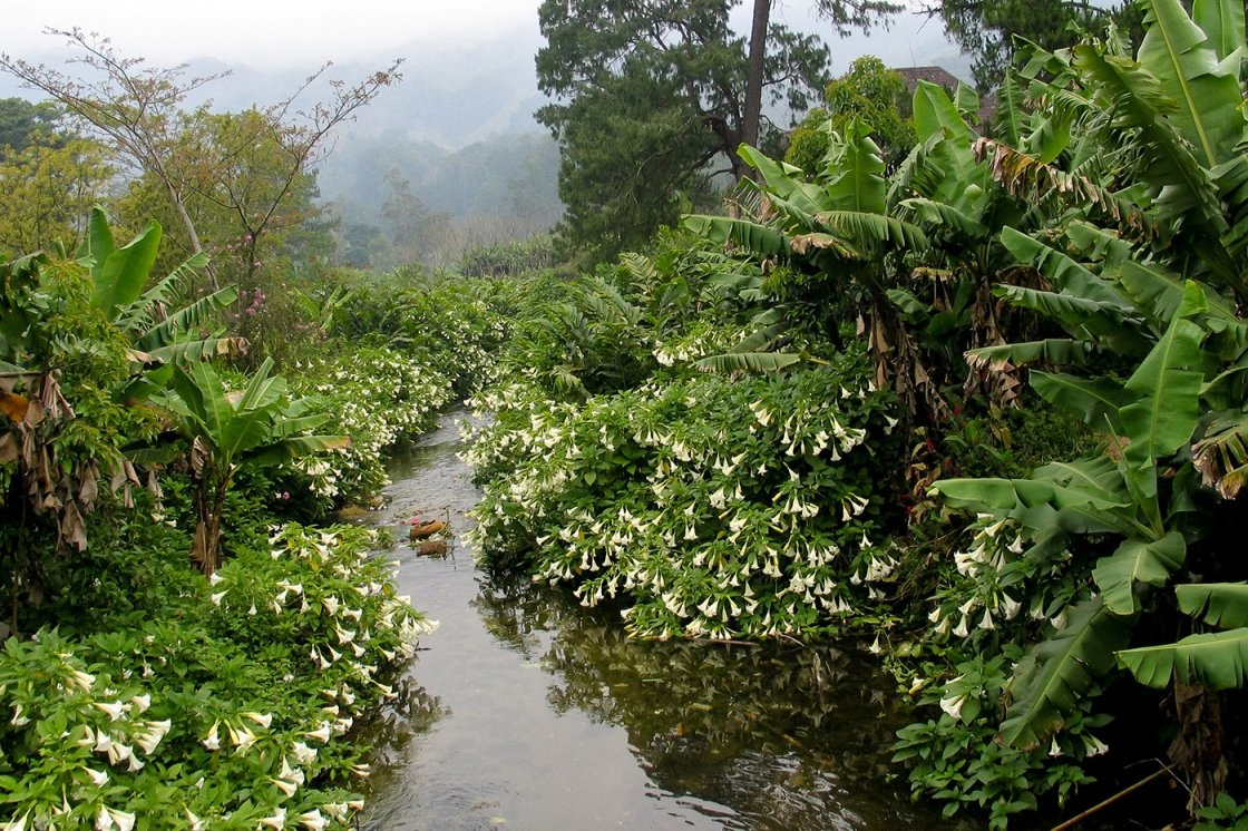 MADAGASZKÁR