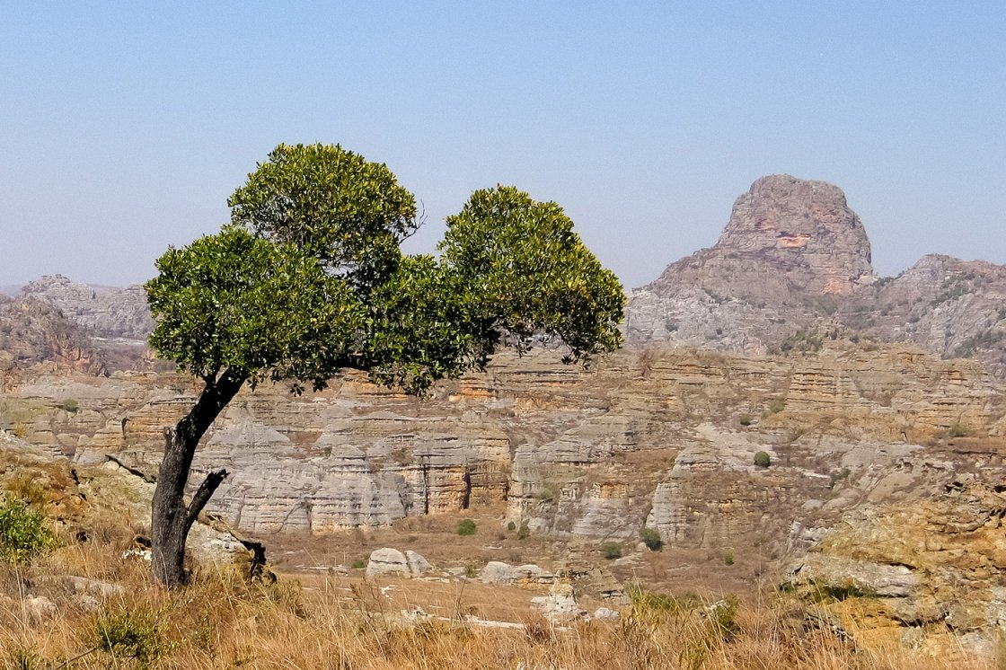 MADAGASZKÁR