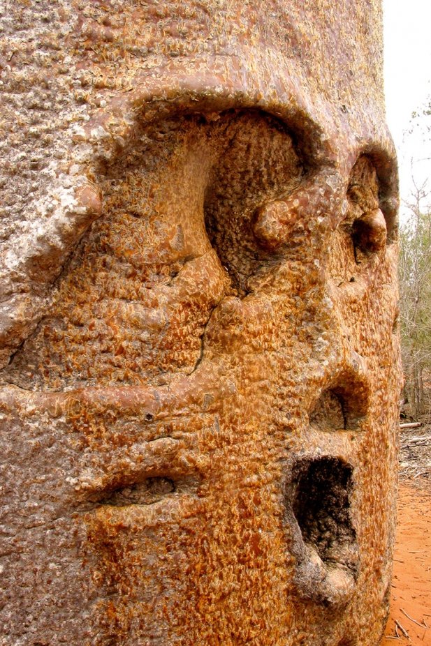 MADAGASZKÁR