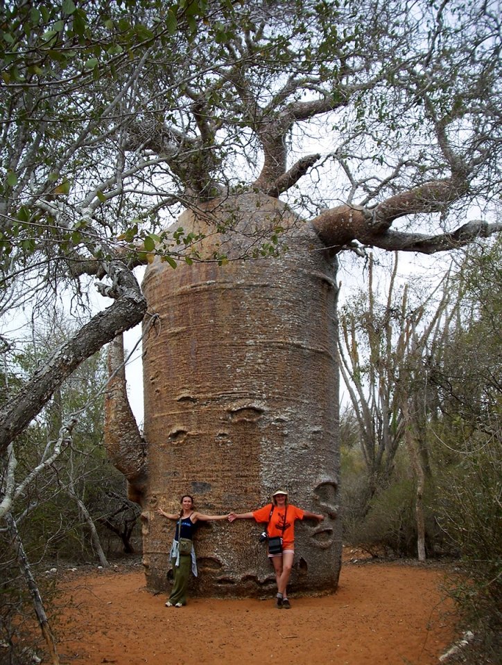 MADAGASZKÁR