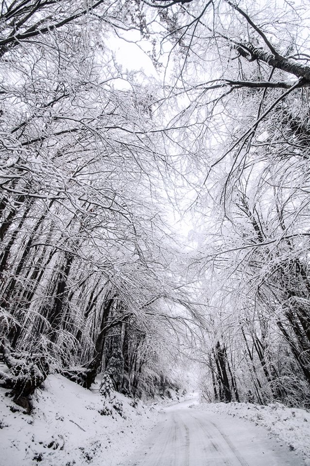 PLITVICE