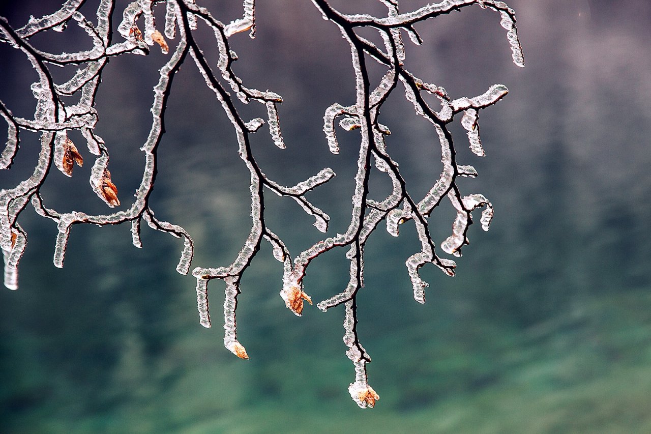 PLITVICE