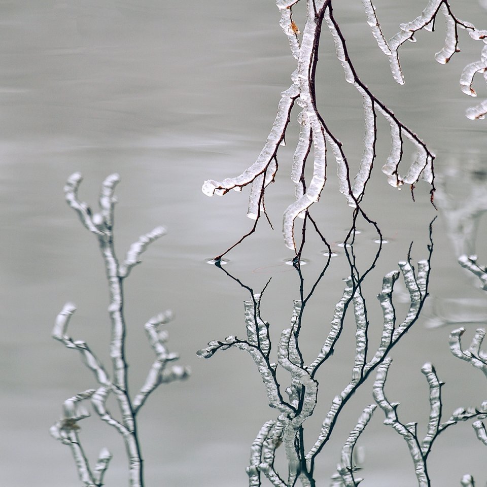 PLITVICE