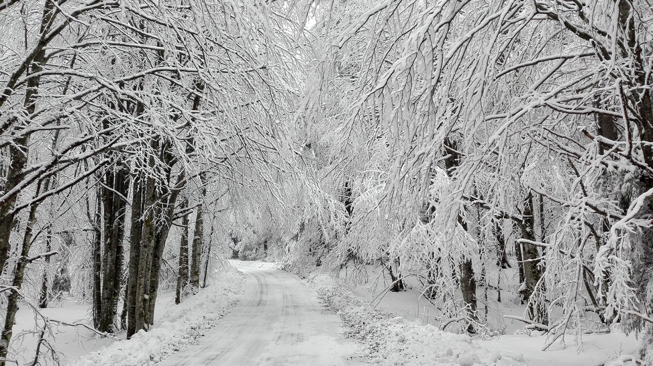 PLITVICE