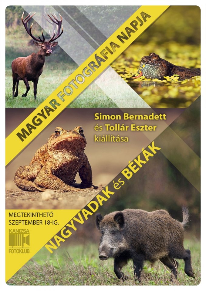 GRAFIKA