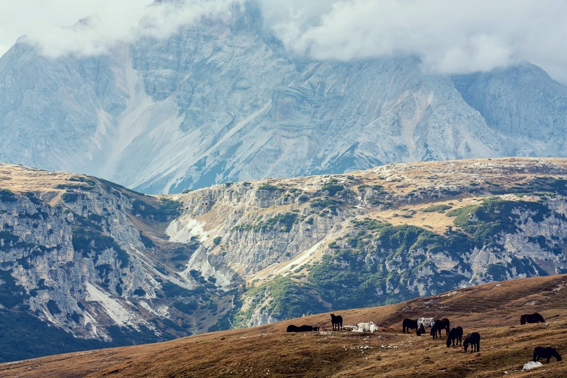 DOLOMITOK