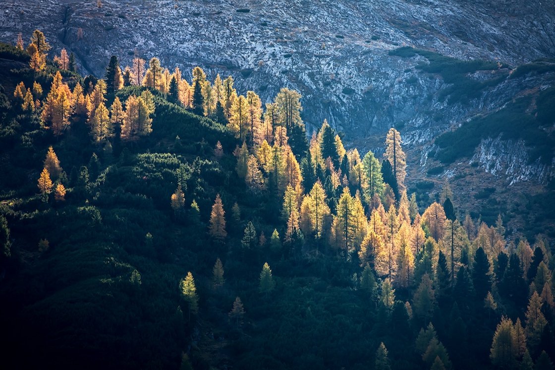 DOLOMITOK