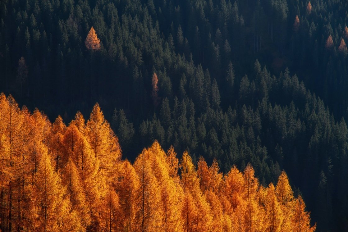DOLOMITOK