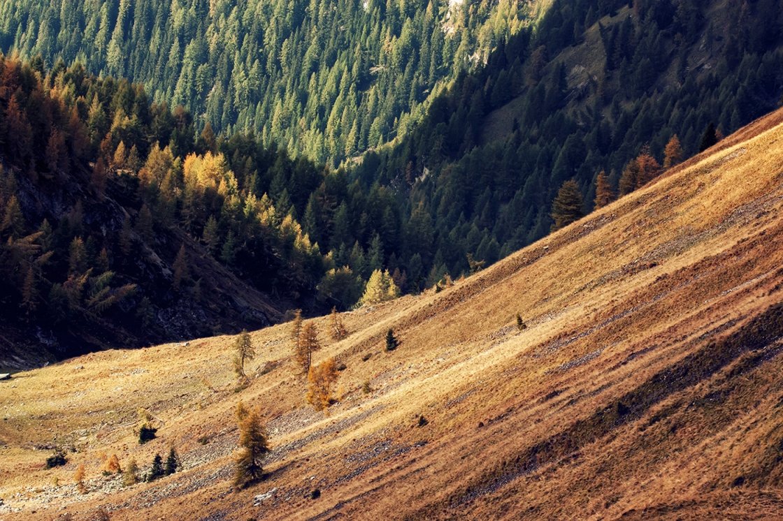 DOLOMITOK