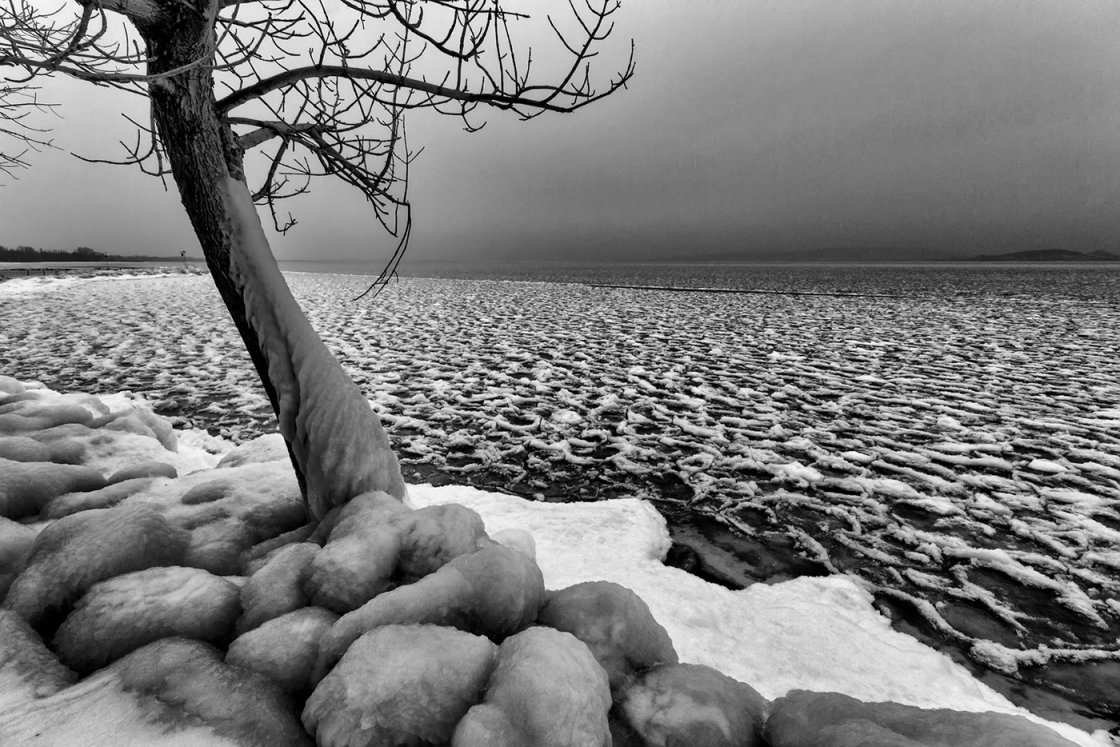 BALATON