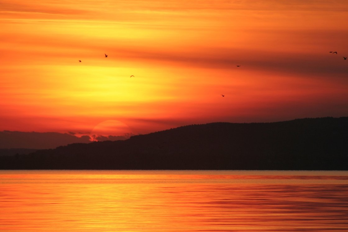 BALATON