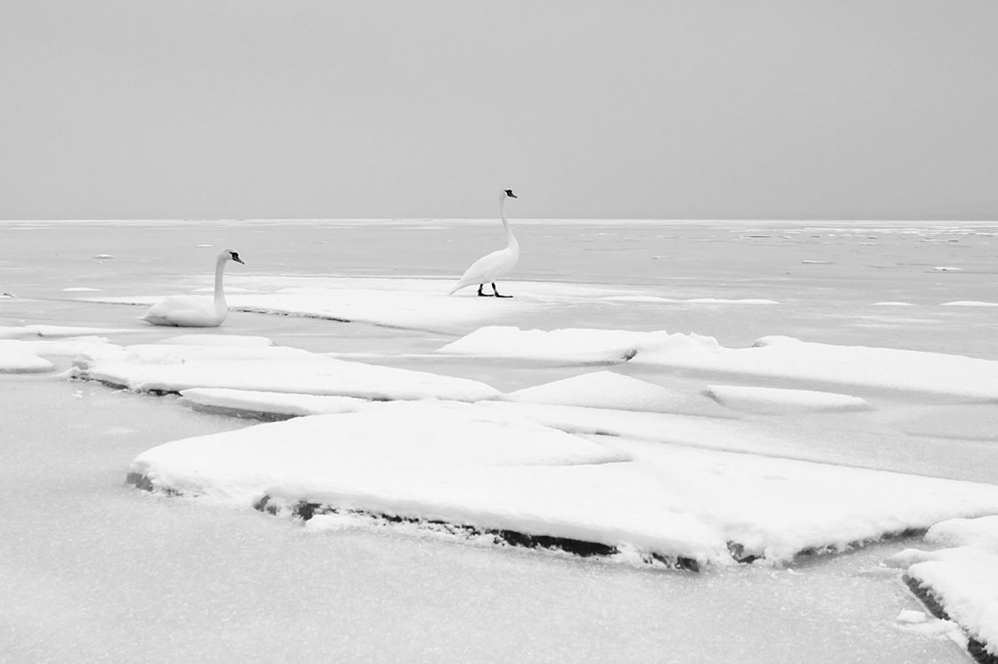 BALATON