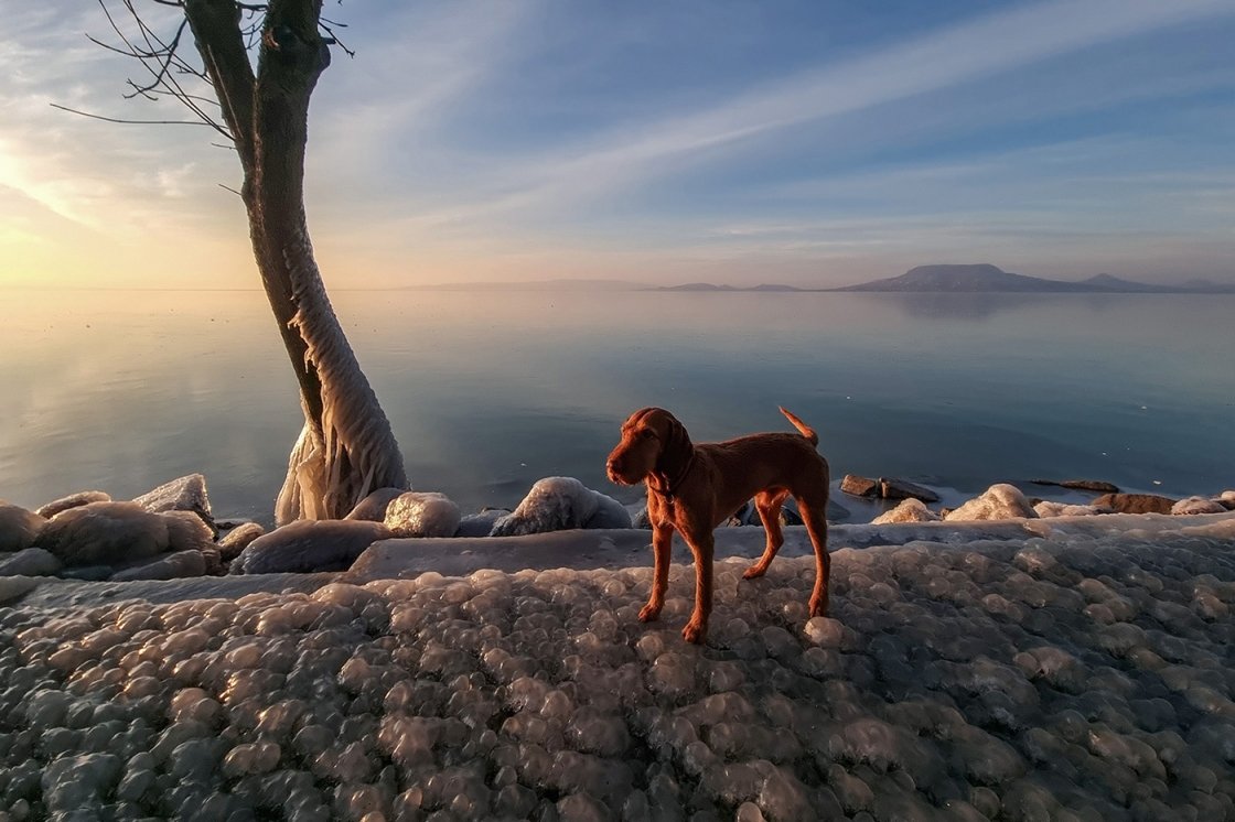 BALATON