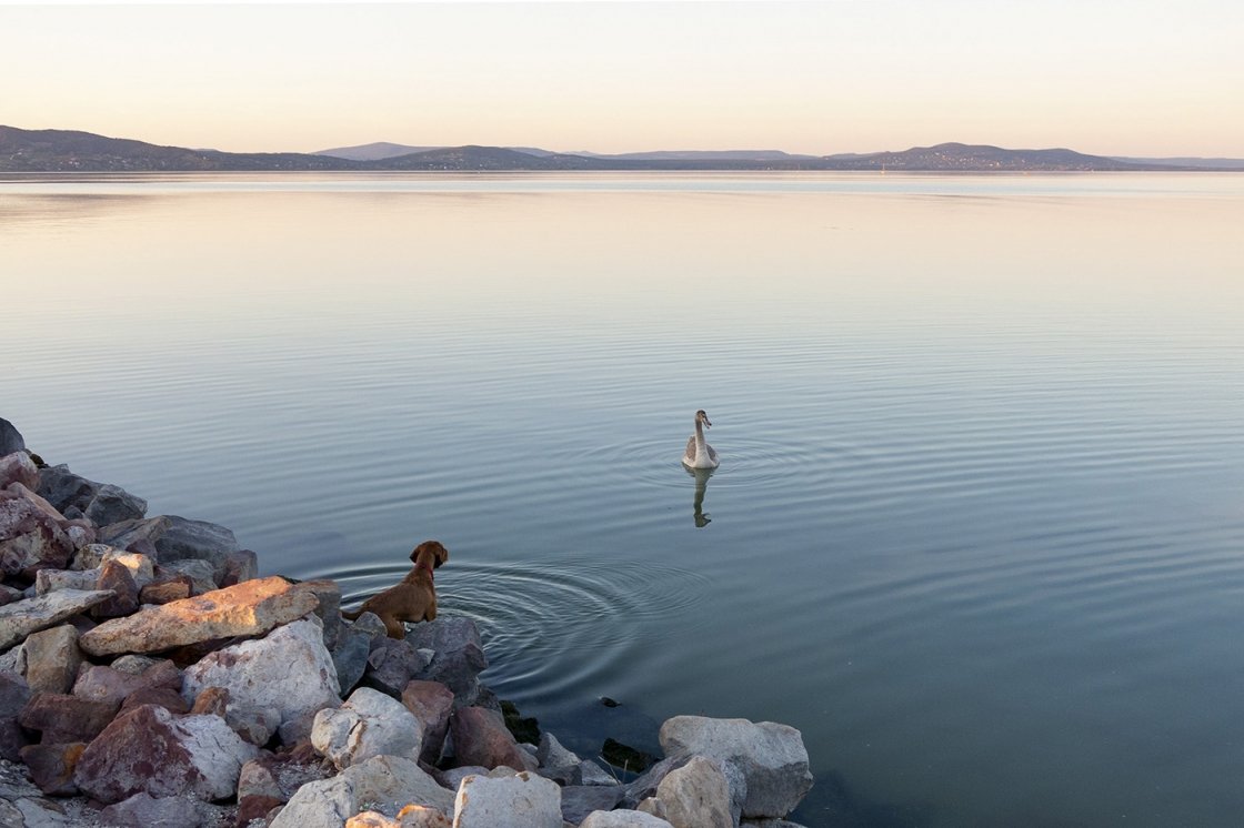 BALATON