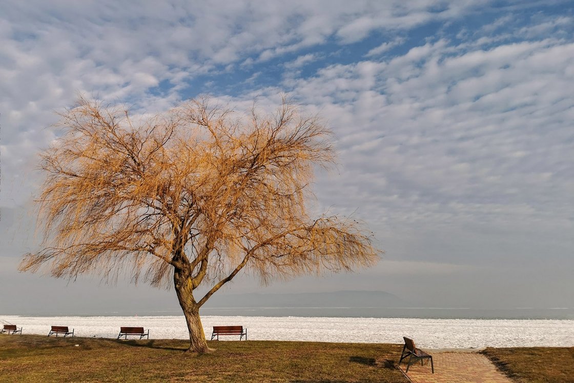 BALATON