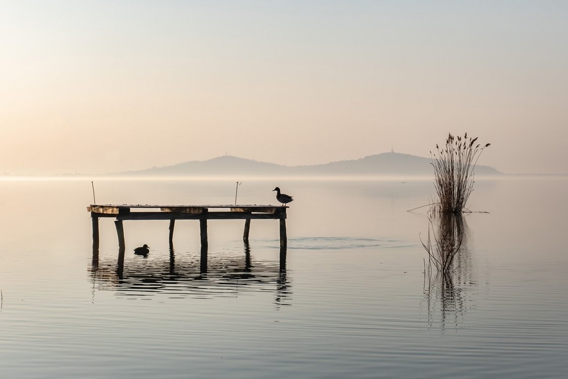 BALATON