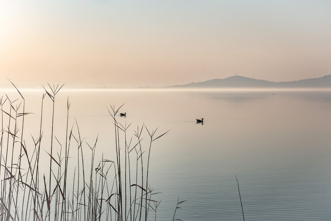 BALATON