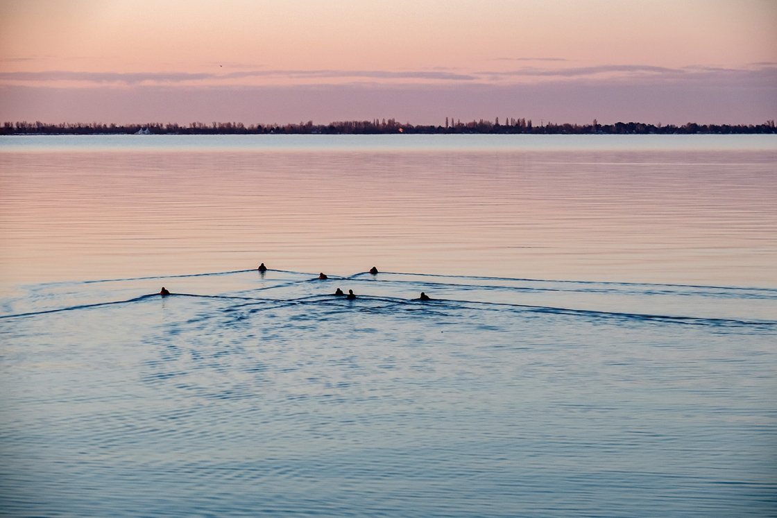BALATON