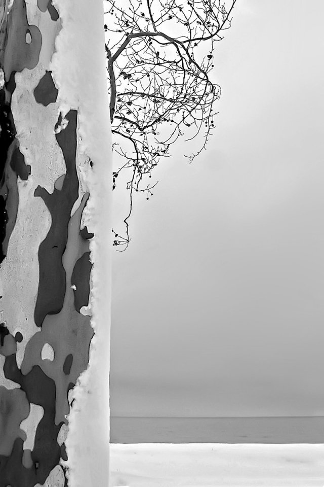 BALATON
