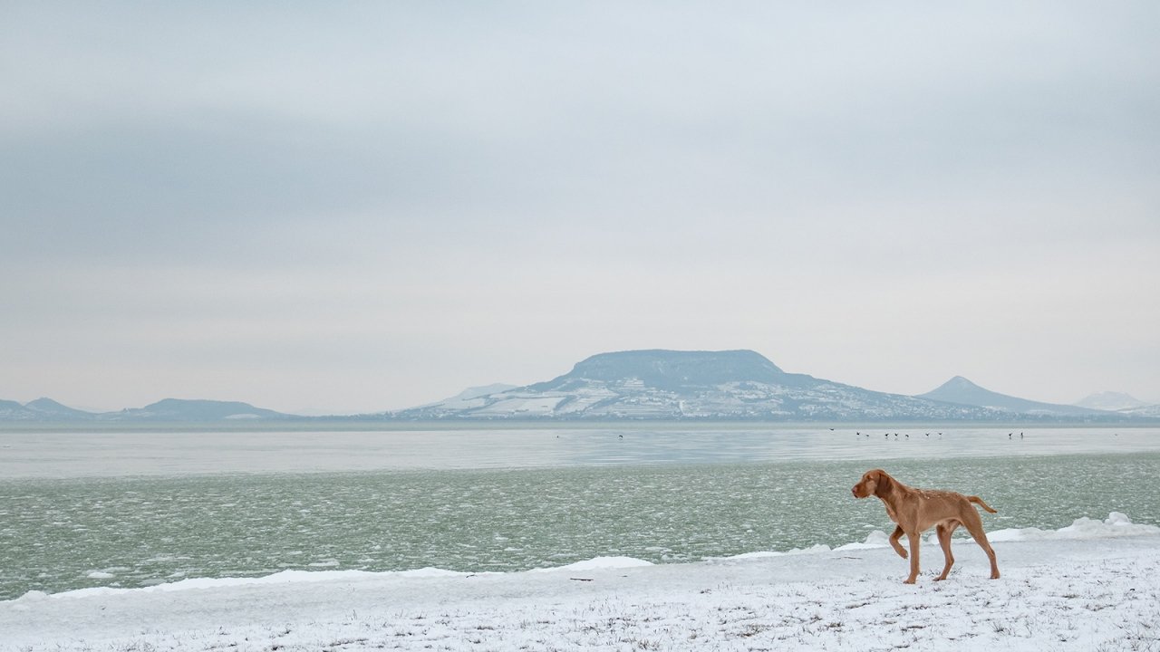 BALATON