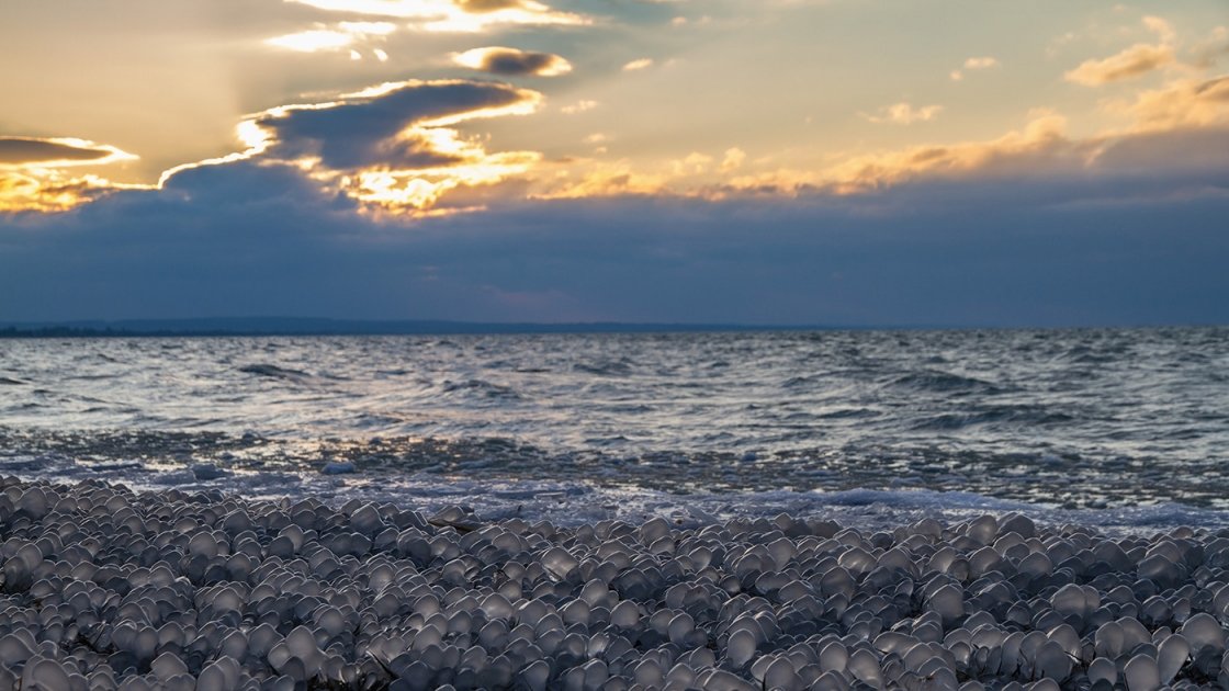 BALATON