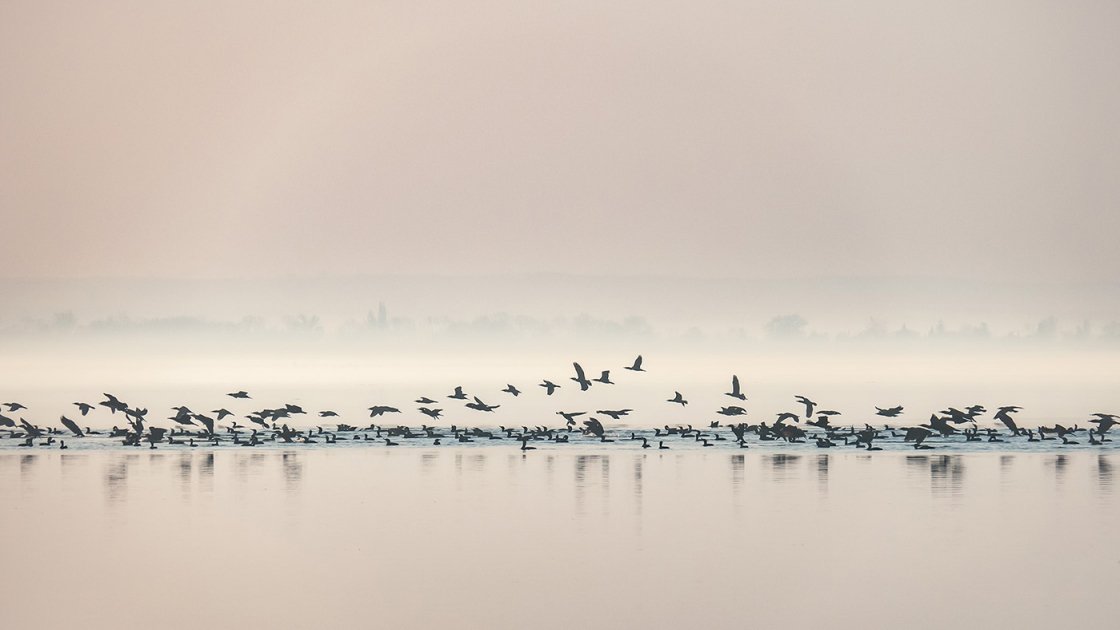 BALATON
