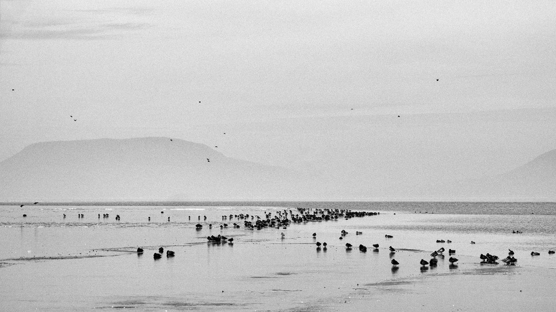 BALATON