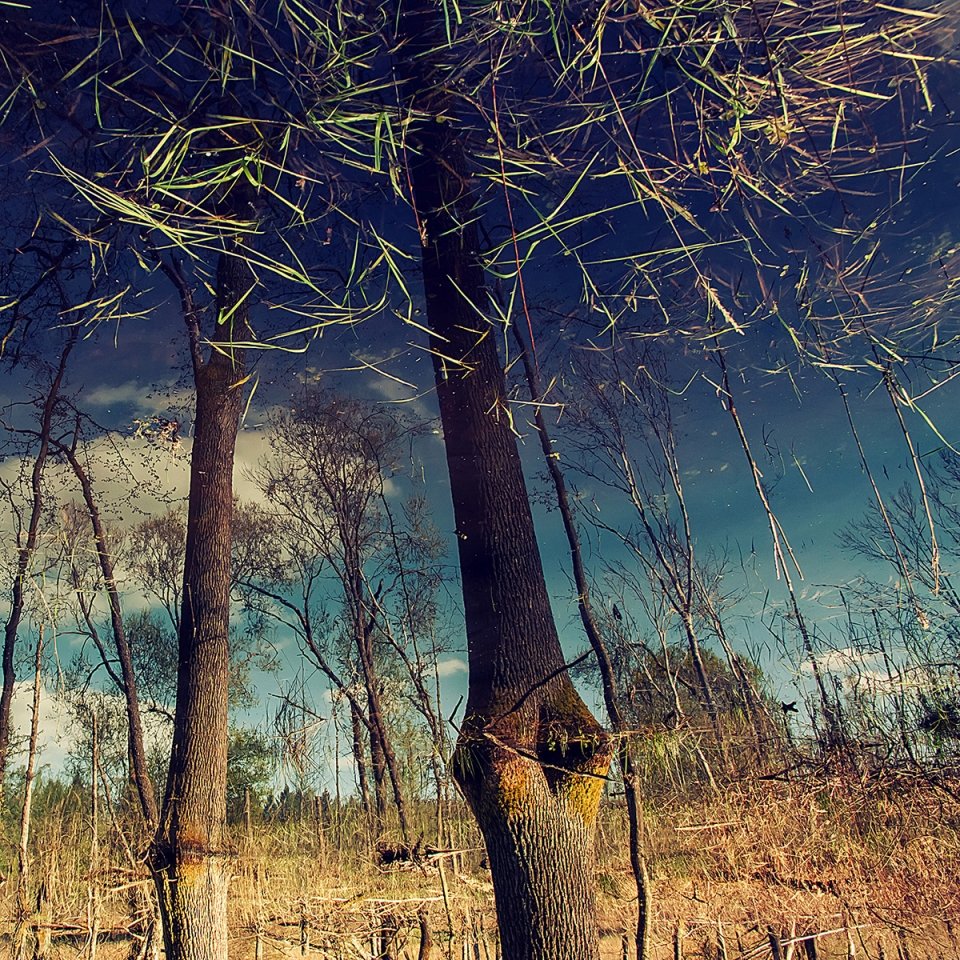VÍZTÜKÖR